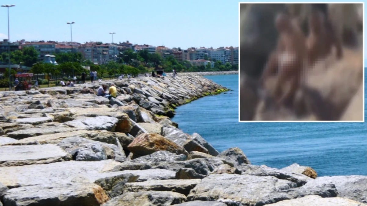 Kadıköy sahilinde ulu orta ilişkiye giren 2 erkeği görüntüleyen genç: Dayı ayıp değil mi?