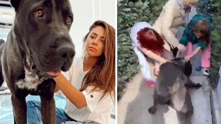 Sosyal medya fenomeni Banu Parlak’ın köpeği komşusunun köpeğini öldürdü